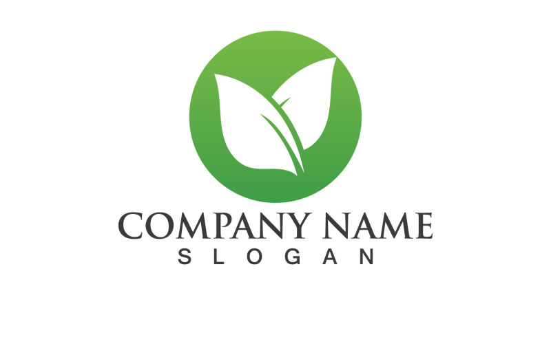 Groen Blad Natuur Eco-logo Vector V34