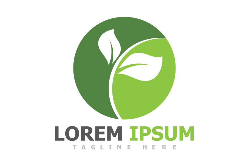 Foglia Verde Logo Natura Logo Vector V13