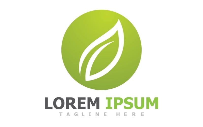 Leaf Green Logo Nature Logo Vector V24