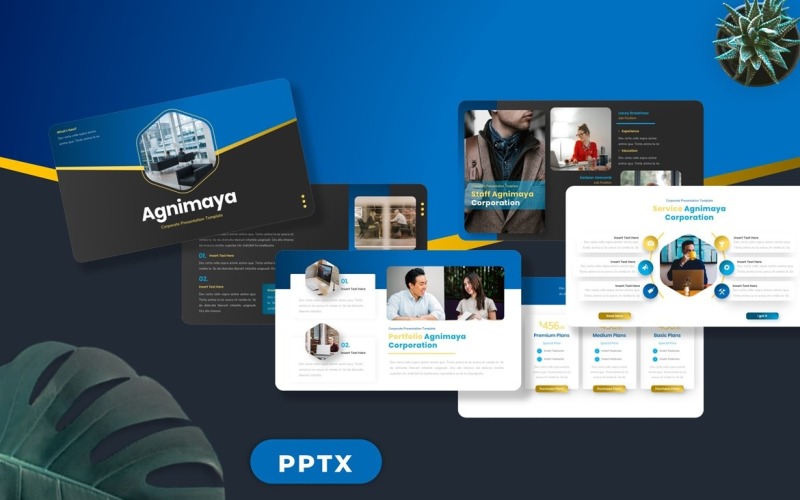 Agnimaya – korporacyjny slajd Google