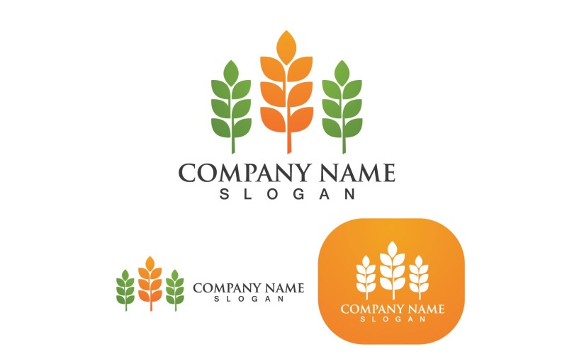 Blé Logo Agriculture Vector Icon Design V8