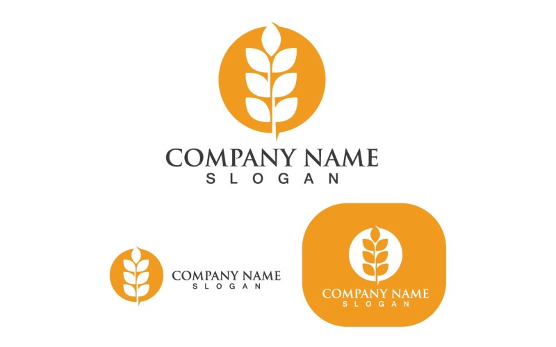 Пшениця логотип сільського господарства вектор значок дизайн V2