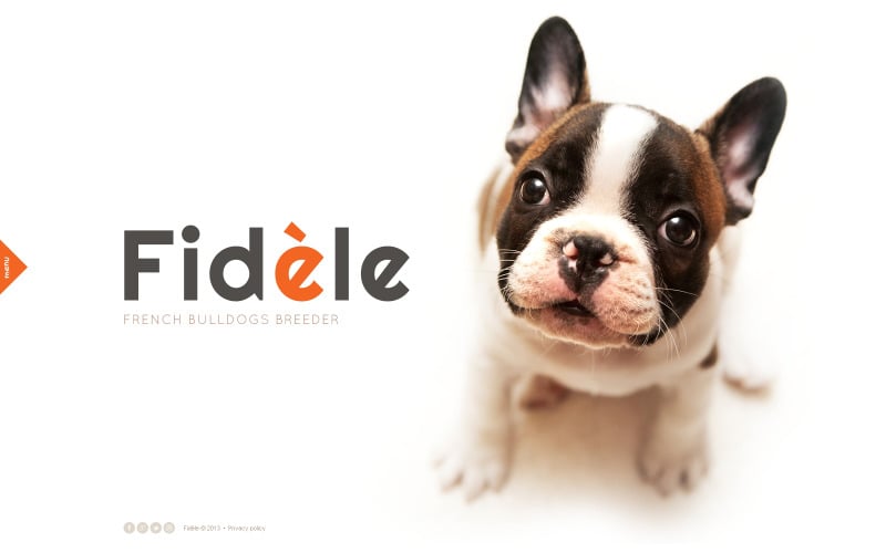 Gratis websitesjabloon voor honden