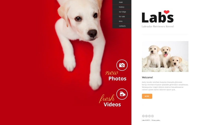 Kostenlose Vorlage für Hunde-Websites