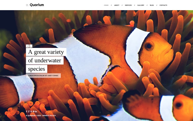 Безкоштовний шаблон сайту з акваріумними рибками