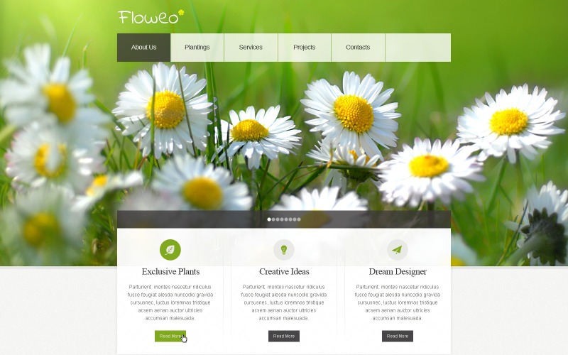 Modèle de site Web de conception extérieure sans frais