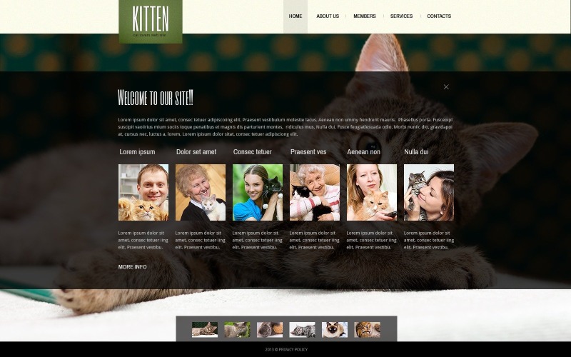 Tema del sito Web gratuito per la cura di gatti e veterinari