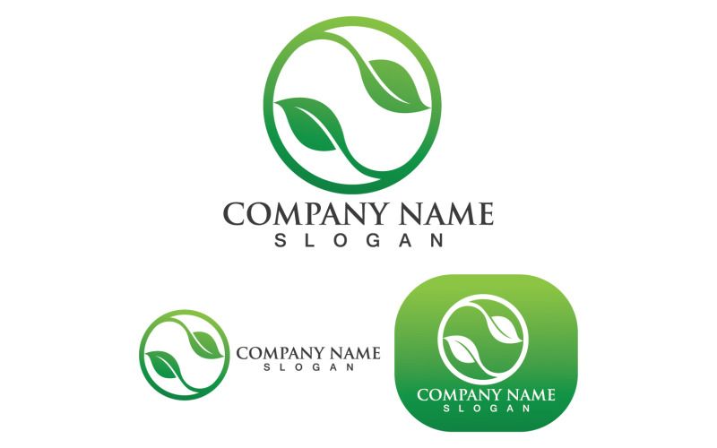 Feuille Vert Nature Logo Icône Vecteur V9