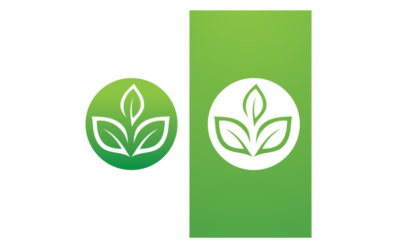 Zielony liść natura wektor Logo szablon V13