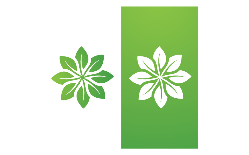 Zielony liść natura wektor Logo szablon V3