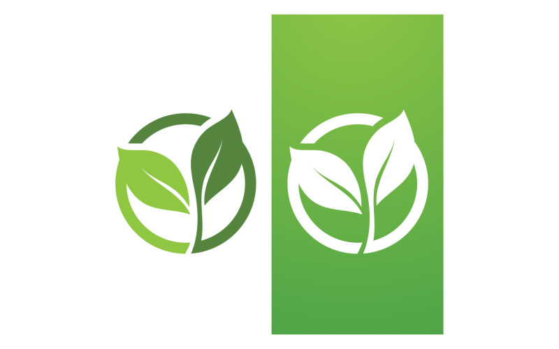 Grünes Blatt Natur Vektor Logo Vorlage V36