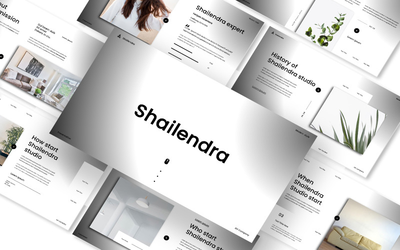 Shailendra PowerPoint-presentatiesjabloon