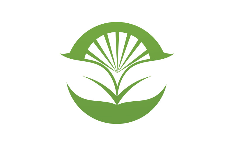 Лист еко зелена природа логотип вектор V25
