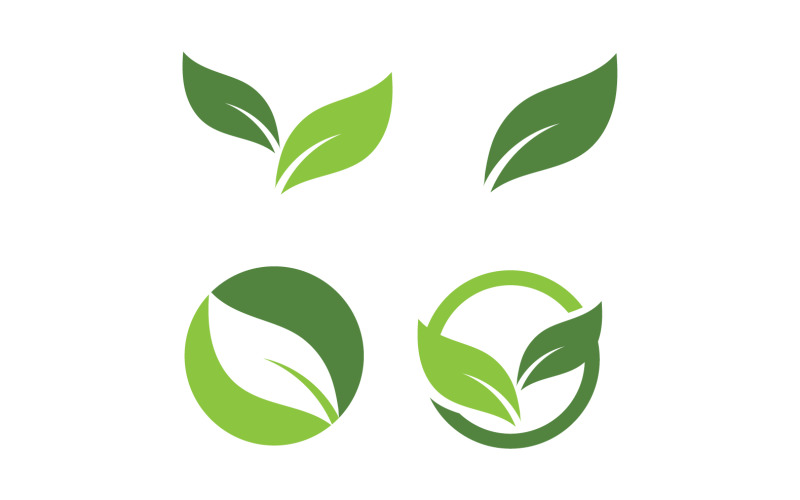 Liść Eco Zielony Natura Logo Wektor V4