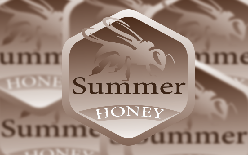 Modello di logo dell'ape del miele estivo