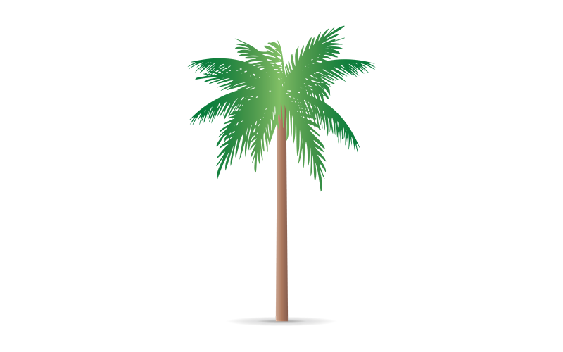 Palmiye Ağacı Illüstrasyon Vektör