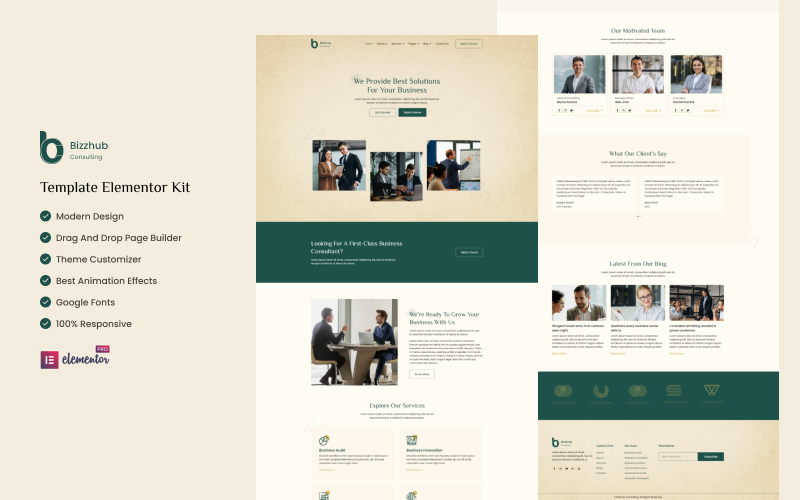 Bizzhub Consulting - 商业咨询服务 Elementor 模板套件