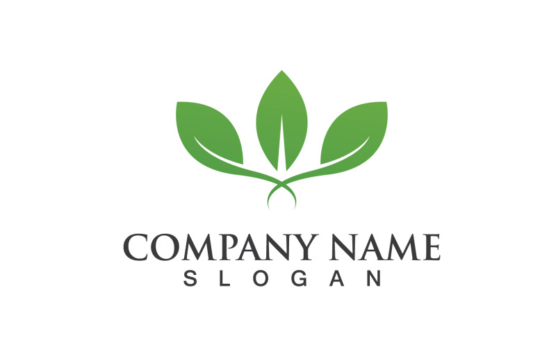 Foglia Verde Natura Logo Simbolo Vettore V6