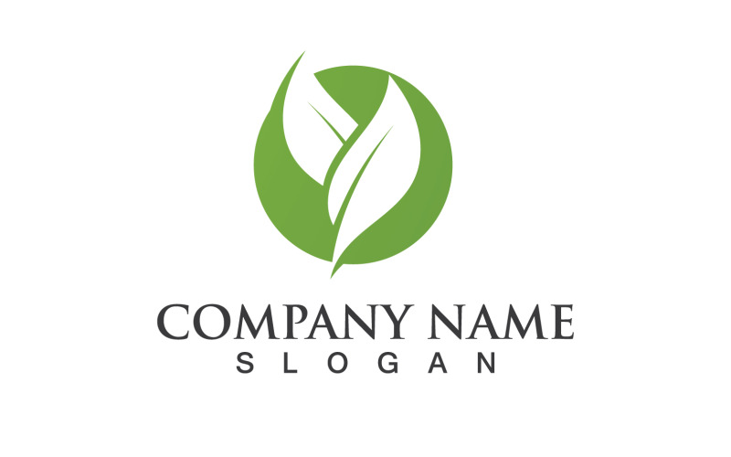 Зеленый Эко Лист Дерево Природа Логотип Векторный Дизайн V50