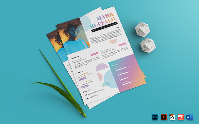 Curriculum CV Designer UI Stampa modello A4
