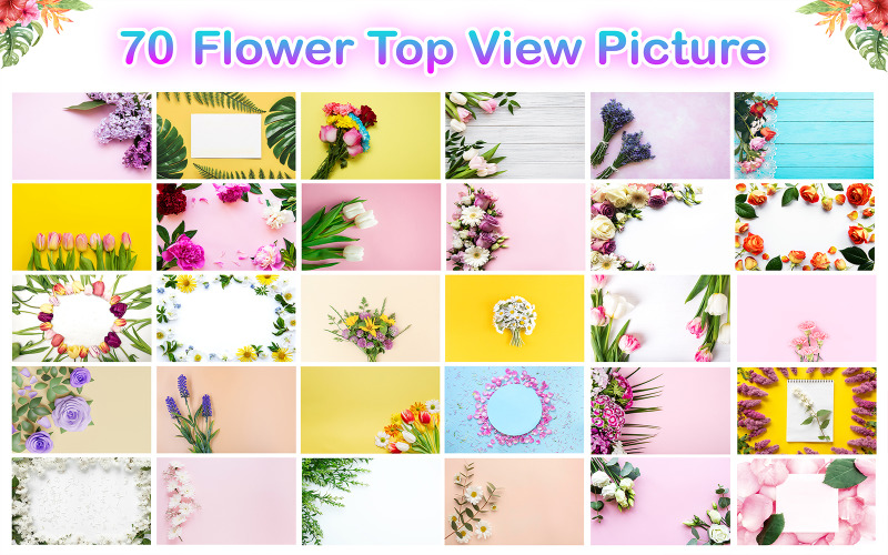 Pacote de imagens da vista superior de flores