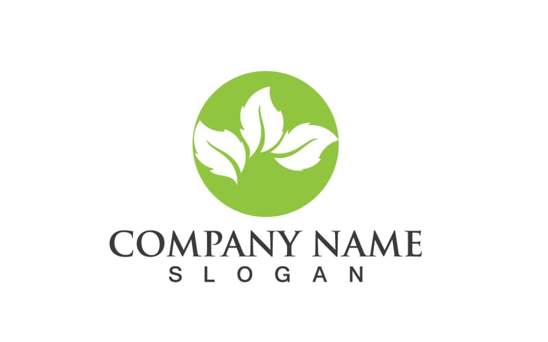 Logo et symbole de la nature de la feuille verte de l'écologie V40