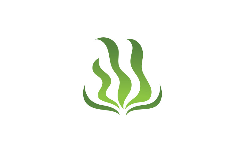 Modèle de conception de logo vectoriel aux algues V4