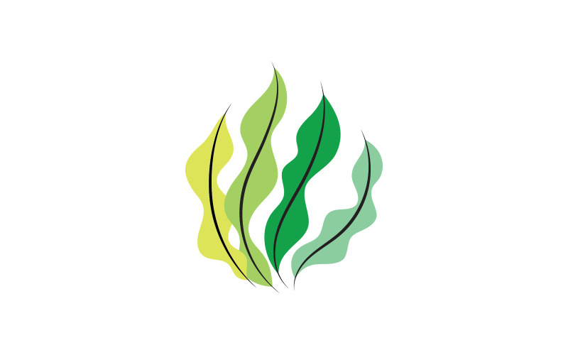 Modèle de conception de logo vectoriel aux algues V6