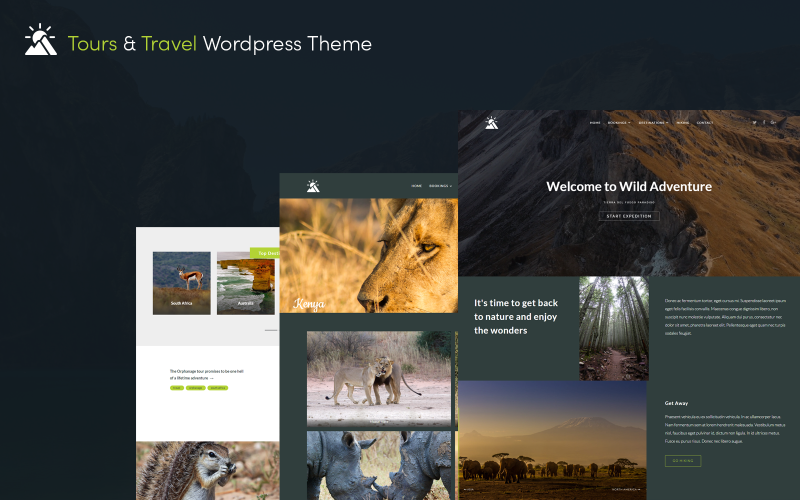 Тема Wordpress Gravity Traveller