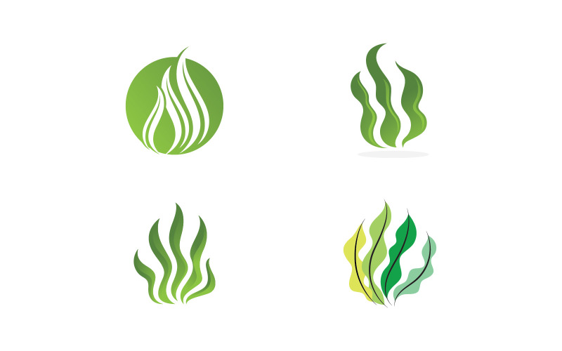 Zeewier Vector Logo ontwerpsjabloon V8
