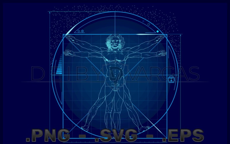 Desenhos vetoriais do homem vitruviano