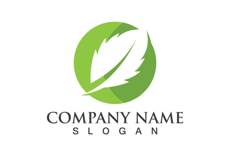 Foglia Eco Verde Natura Elemento Vector Logo V12