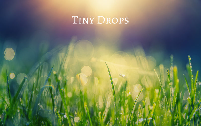 Tiny Drops - Ambient Underscore - Stock Music