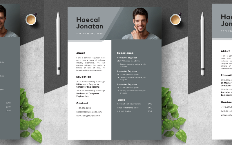 CV-sjabloon voor professionele software-engineering. (2 pagina's)