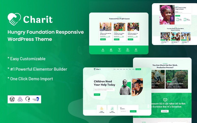 Charit - Hungry Foundation Responsivt WordPress-tema