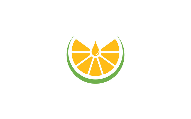 Modello di disegno vettoriale con logo arancione di frutta fresca V4