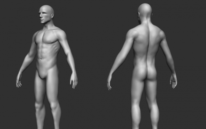 Férfi bázis - emberi 3D-s modell
