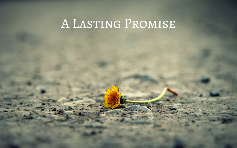 A Lasting Promise - Romantisk orkester - Stockmusik
