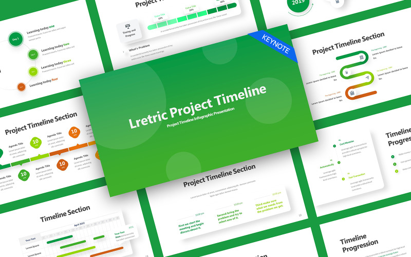 Modèle de présentation de la chronologie du projet Lretric