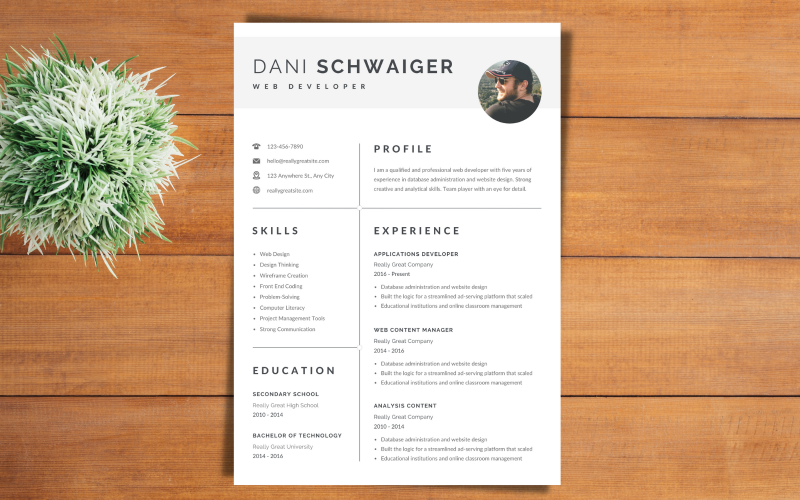 CV de développeur Web détaillé simple et professionnel blanc