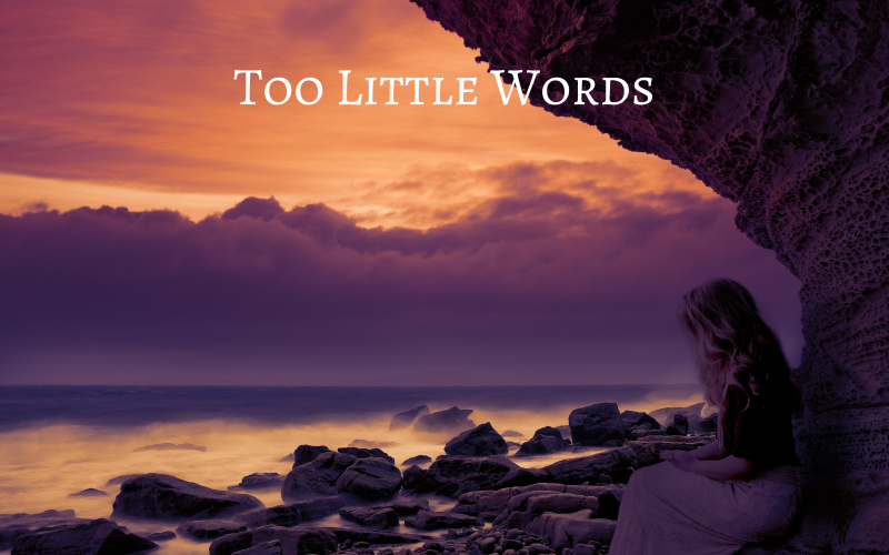 Too Little Words - Ambient Folk - Aktienmusik