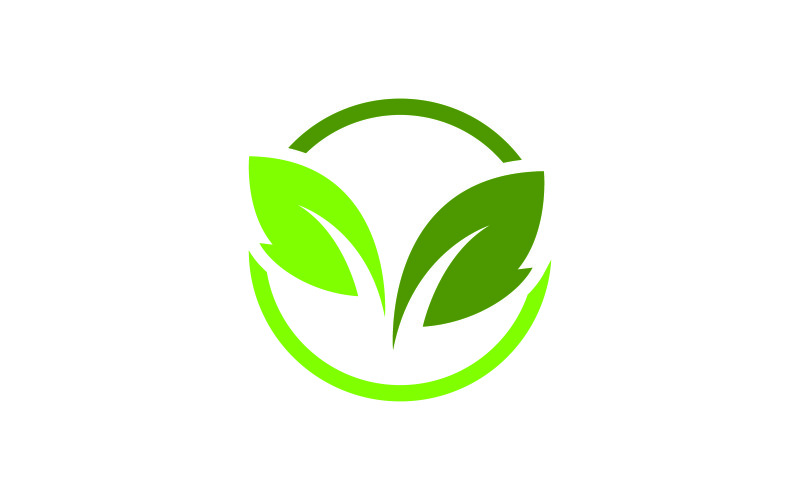 Modelo de design de logotipo de vetor de folha verde V2
