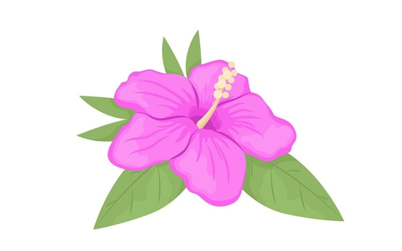Fleur d'hibiscus floraison objet vectoriel de couleur semi-plat