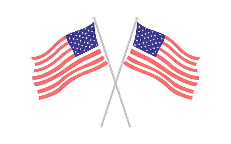 Ulusal Amerikan bayrakları çifti yarı düz renk vektör nesnesi