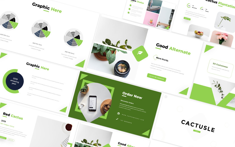 Castusle Keynote Template 273605 Templatemonster