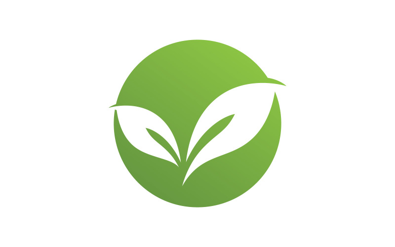 Natur-Blatt-Logo-Vorlage Vektor-Illustration V8