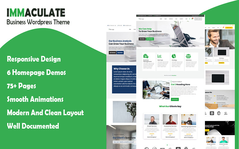 Immaculate Business - víceúčelové poradenství Wordpress téma
