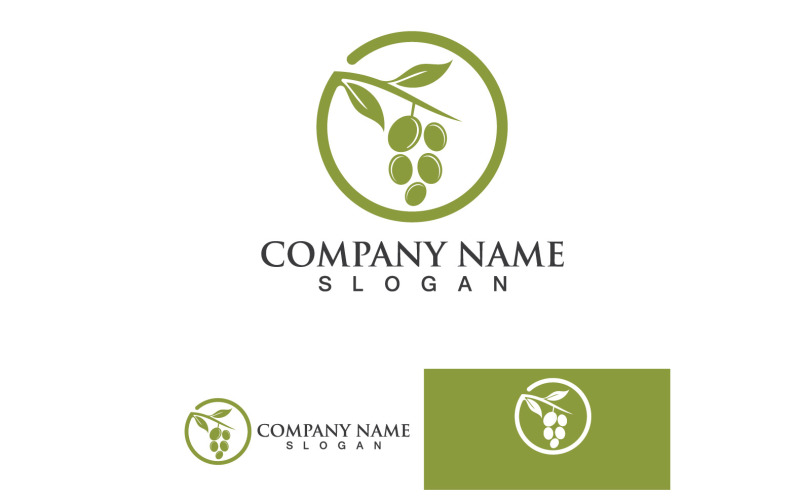 Azeite Logotipo Natureza Saúde Vector Design Modelo V