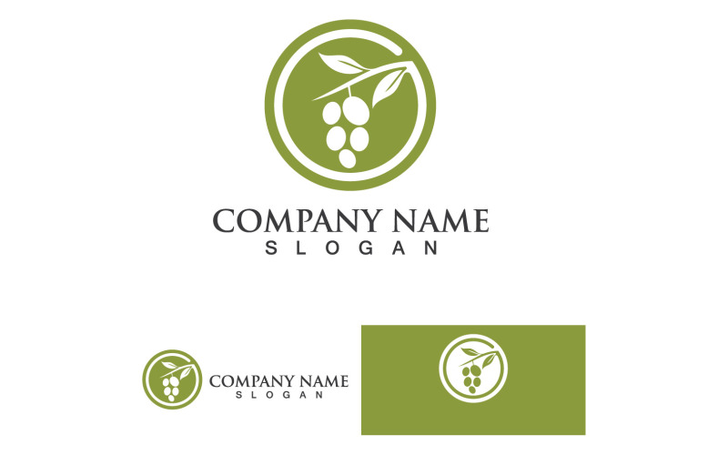 Olijfolie Logo Natuur Gezondheid Vector Ontwerpsjabloon V7