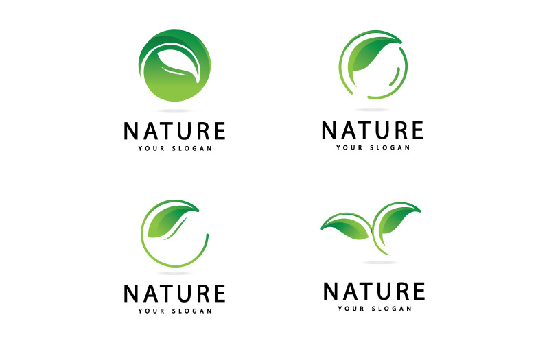 Modello di logo foglia natura. Illustrazione vettoriale. V5